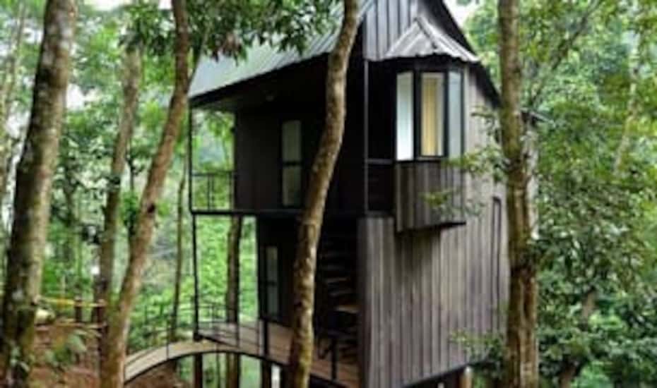 <p>Treehouse Jungle Beat Resort</p>